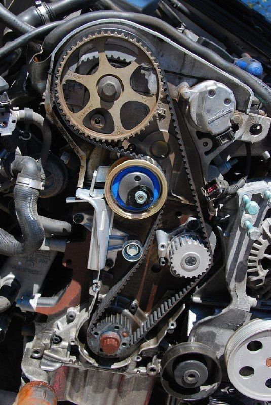 Belts & Motors